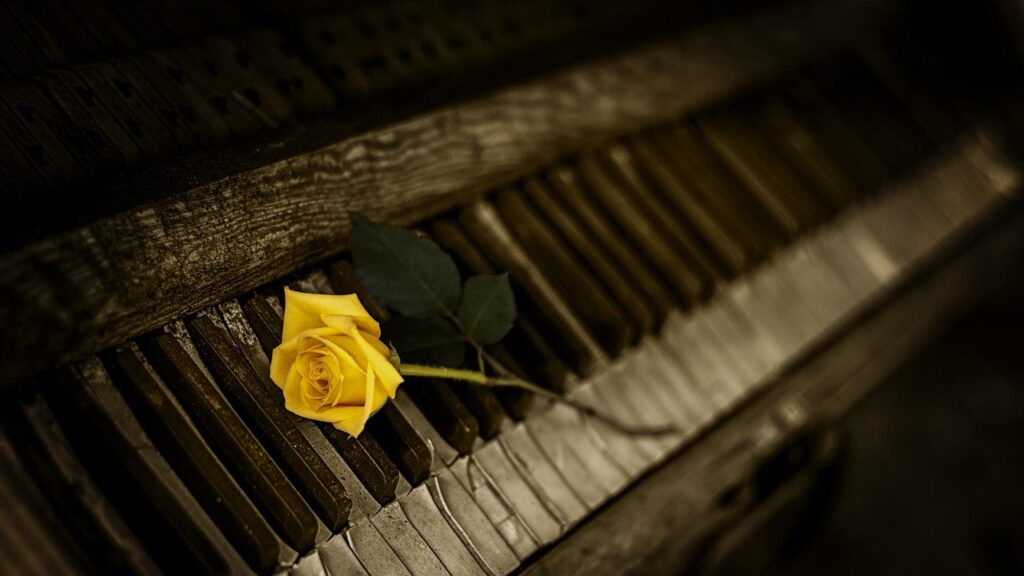 piano, rose, yellow rose, old piano, keyboard, organ, piano keys, black keys, white keys, vintage, keys, melody, musical instrument, piano, piano, piano, rose flower, piano, piano, rose